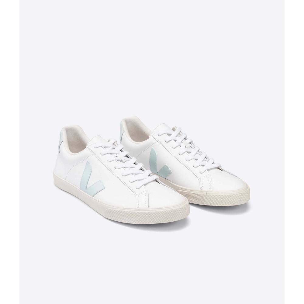 Women's Veja ESPLAR LEATHER Sneakers White/Blue | SG 609WNB